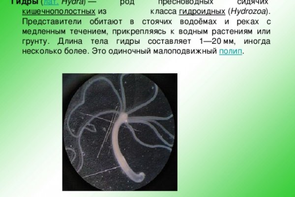 Кракен короткая ссылка