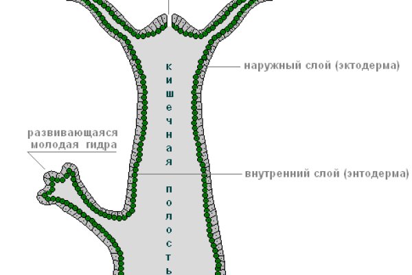 Аккаунты кракен